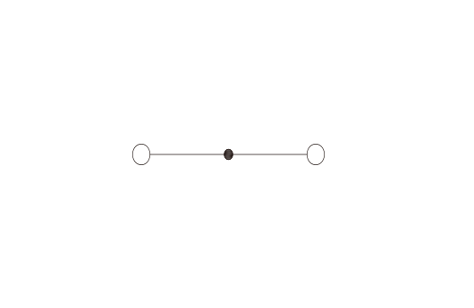 DP2.5SGR hình 3