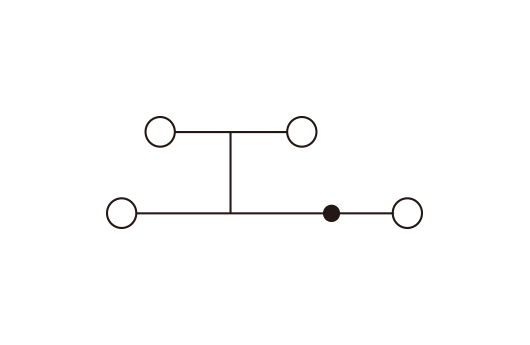 DPP1.5N-PV hình 3